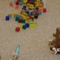 IMG 8561